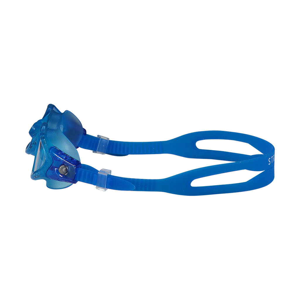 Vision Goggle Blue