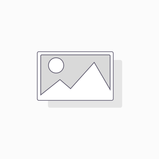 Arti goggles grey